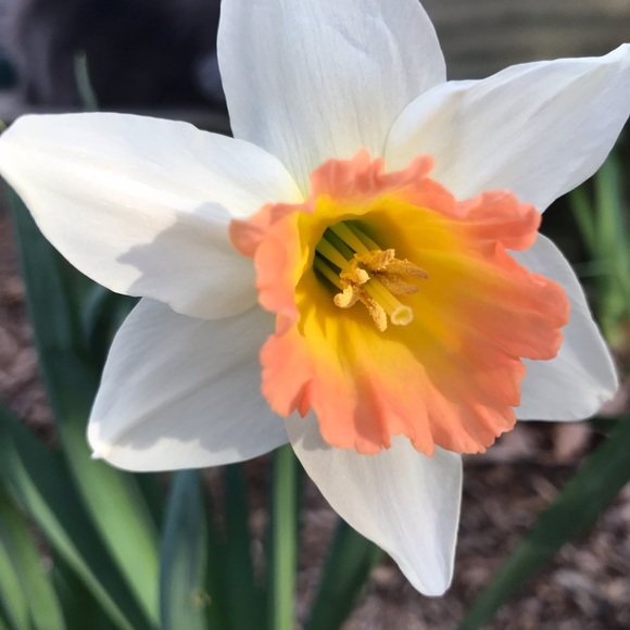 Meet your Posher, Margit - Picture 5 of 8